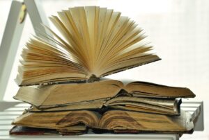 El ensayo literario: género fronterizo entre reflexión y narración