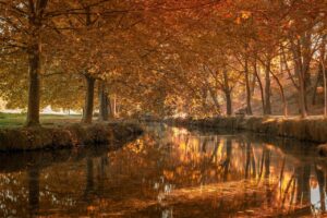 Los clubes de lectura: vínculos más allá del libro