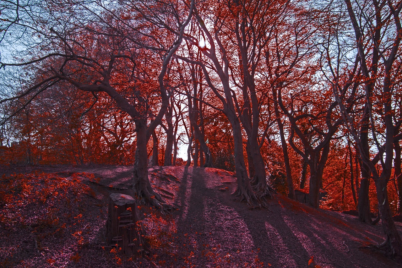 El papel de los mundos ficticios en la literatura realista