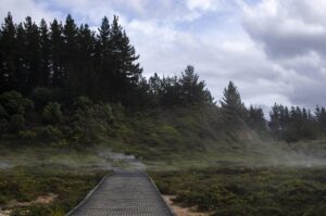 Fiestas, rituales y su reflejo en la narrativa