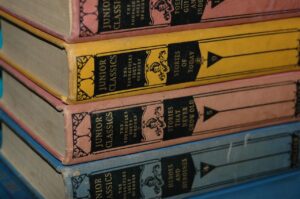 Bibliotecas digitales: acceso global y riesgos de obsolescencia tecnológica