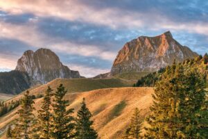 Todas las criaturas grandes y pequeñas