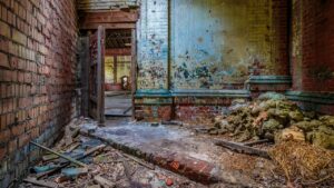 Adaptaciones literarias: cuando el cine dialoga (o discute) con el libro